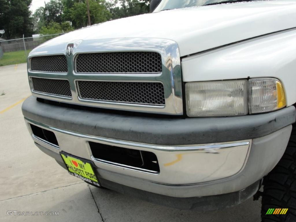 1999 Ram 1500 ST Regular Cab 4x4 - Bright White / Mist Gray photo #11