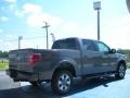 2010 Sterling Grey Metallic Ford F150 FX2 SuperCrew  photo #3