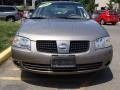 Bronze Shimmer - Sentra 2.5 S Photo No. 4