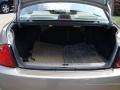 Bronze Shimmer - Sentra 2.5 S Photo No. 39