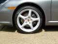 2010 Meteor Grey Metallic Porsche 911 Carrera Coupe  photo #12