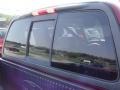 2002 Toreador Red Metallic Ford F150 XLT SuperCrew 4x4  photo #22