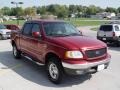 Toreador Red Metallic - F150 XLT SuperCrew 4x4 Photo No. 23