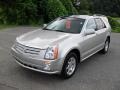 Light Platinum - SRX V6 Photo No. 1