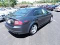 Carbon Gray Pearl - TL 3.2 Photo No. 4
