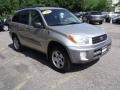 Titanium Metallic - RAV4 4WD Photo No. 1