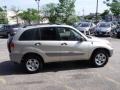 Titanium Metallic - RAV4 4WD Photo No. 2