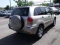 Titanium Metallic - RAV4 4WD Photo No. 3