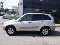 Titanium Metallic - RAV4 4WD Photo No. 6