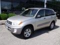 Titanium Metallic - RAV4 4WD Photo No. 7