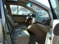 Bamboo Pearl - RX 330 AWD Photo No. 7