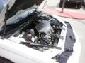 White - Monte Carlo SS Photo No. 31
