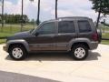 2006 Dark Khaki Pearl Jeep Liberty Sport  photo #10