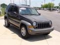 2006 Dark Khaki Pearl Jeep Liberty Sport  photo #14