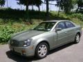 Silver Green - CTS Sedan Photo No. 1