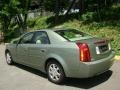 Silver Green - CTS Sedan Photo No. 3