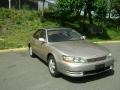 Cashmere Beige Metallic - ES 300 Photo No. 17