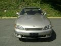 Cashmere Beige Metallic - ES 300 Photo No. 18
