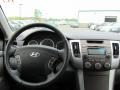 2009 Ebony Black Hyundai Sonata SE V6  photo #4