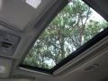 Sheer Silver Metallic - Murano SL Photo No. 16