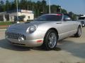 Platinum Silver Metallic - Thunderbird Premium Roadster Photo No. 9