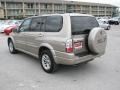 Silky Silver Metallic - XL7 LX Photo No. 8