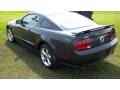 2007 Alloy Metallic Ford Mustang GT Premium Coupe  photo #3