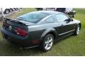 2007 Alloy Metallic Ford Mustang GT Premium Coupe  photo #5