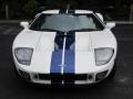 Centennial White - GT  Photo No. 1