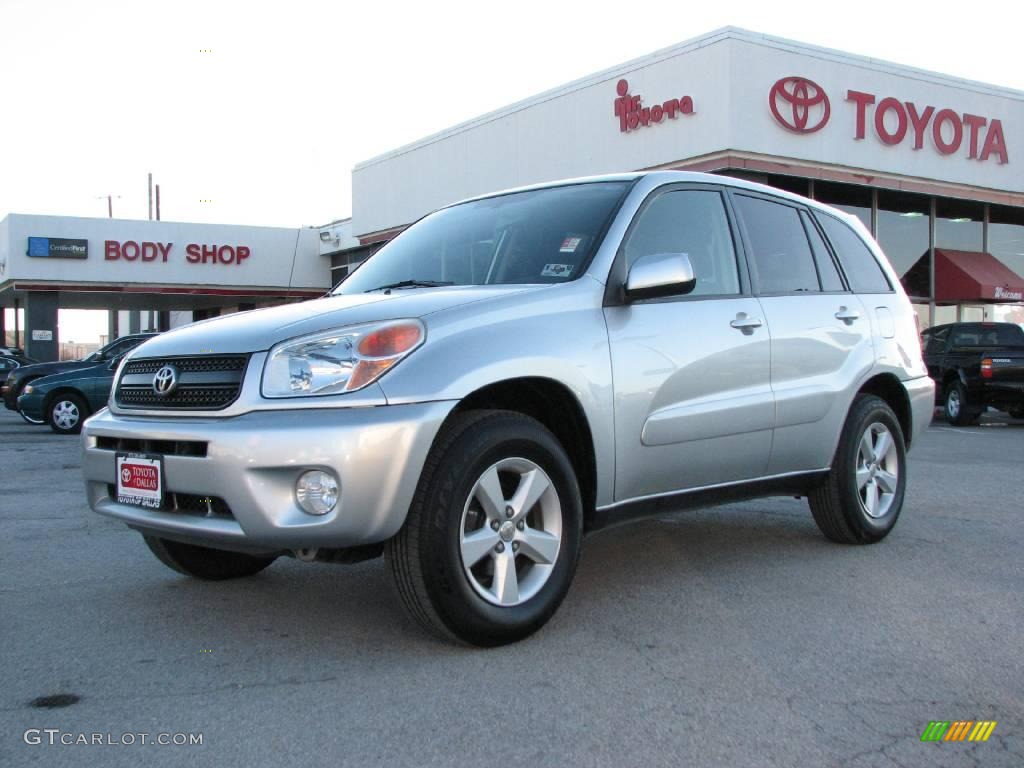 2004 RAV4  - Titanium Metallic / Dark Charcoal photo #2