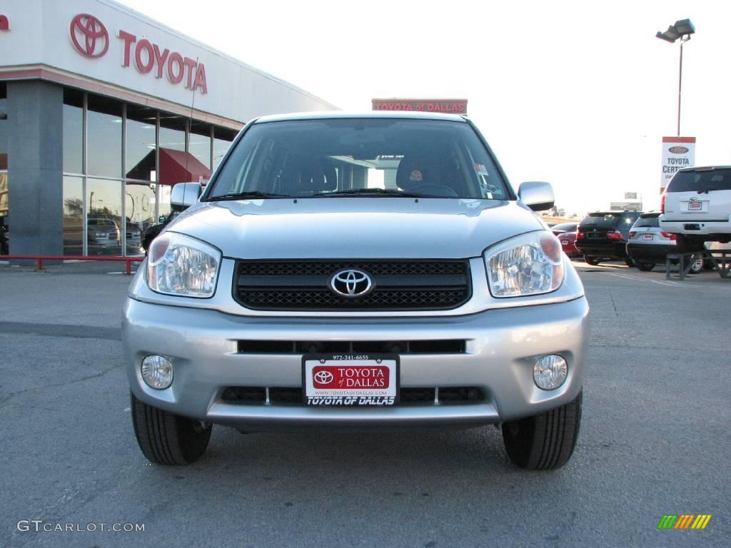 2004 RAV4  - Titanium Metallic / Dark Charcoal photo #3