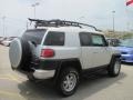 Titanium Metallic - FJ Cruiser 4WD Photo No. 8