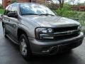 Graystone Metallic - TrailBlazer LS 4x4 Photo No. 1