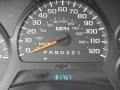 Graystone Metallic - TrailBlazer LS 4x4 Photo No. 3
