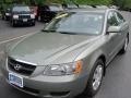 Golden Beige - Sonata GLS Photo No. 1