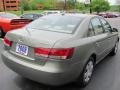Golden Beige - Sonata GLS Photo No. 12