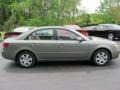 Golden Beige - Sonata GLS Photo No. 13
