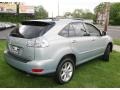 2008 Bamboo Pearl Lexus RX 350 AWD  photo #5