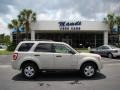 2008 Light Sage Metallic Ford Escape XLT V6  photo #43