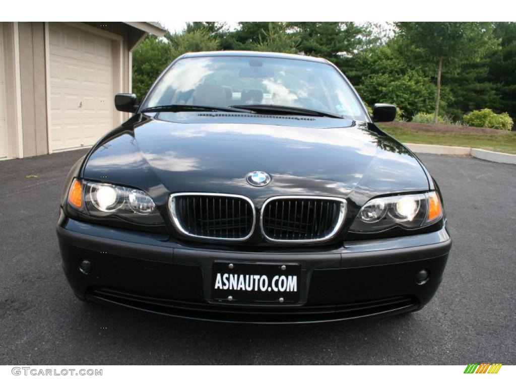 2003 3 Series 325xi Sedan - Jet Black / Sand photo #2