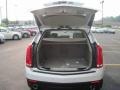 Platinum Ice Tricoat - SRX V6 Photo No. 9