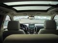 Platinum Ice Tricoat - SRX V6 Photo No. 10