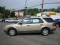 2005 Pueblo Gold Metallic Ford Freestyle SE AWD  photo #6