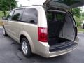 White Gold Pearl - Grand Caravan SE Hero Photo No. 9