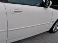 Stone White - Charger R/T Photo No. 21