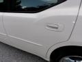 Stone White - Charger R/T Photo No. 25