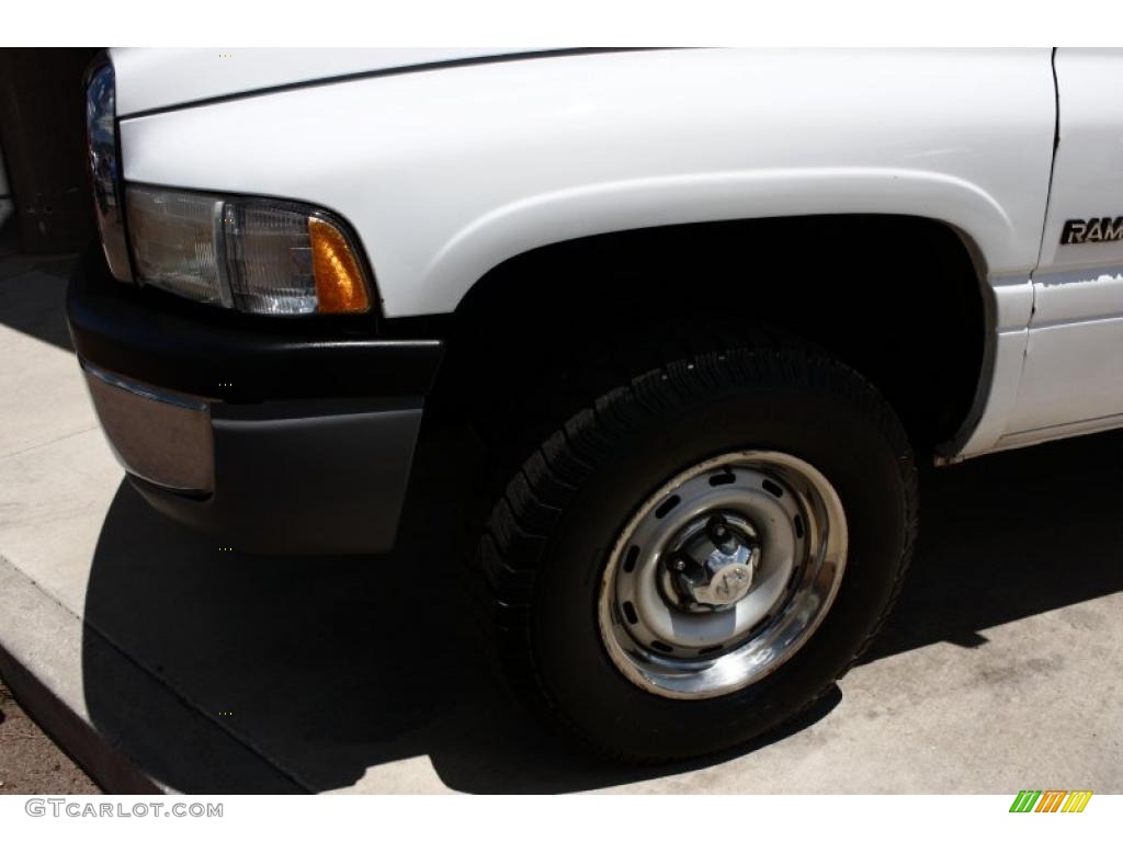 1999 Ram 1500 ST Regular Cab 4x4 - Bright White / Mist Gray photo #16