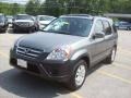 2005 Pewter Pearl Honda CR-V EX 4WD  photo #21