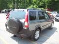 2005 Pewter Pearl Honda CR-V EX 4WD  photo #22