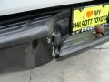 Silver Streak Mica - Tacoma Access Cab Photo No. 21